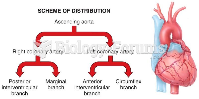Systemic Circulation of the Heart