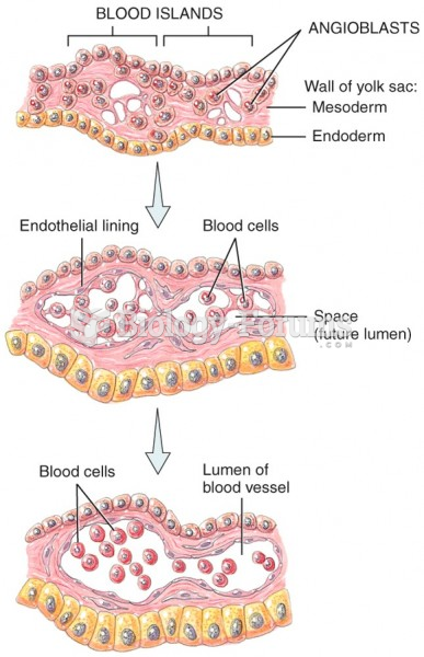 Development of Blood Vessels & Blood