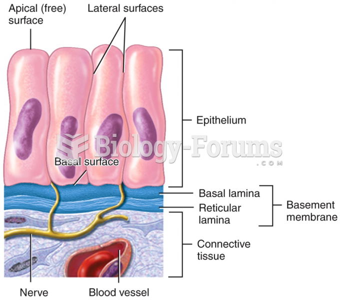 Surfaces of Epithelial Cells and the Basement Membrane
