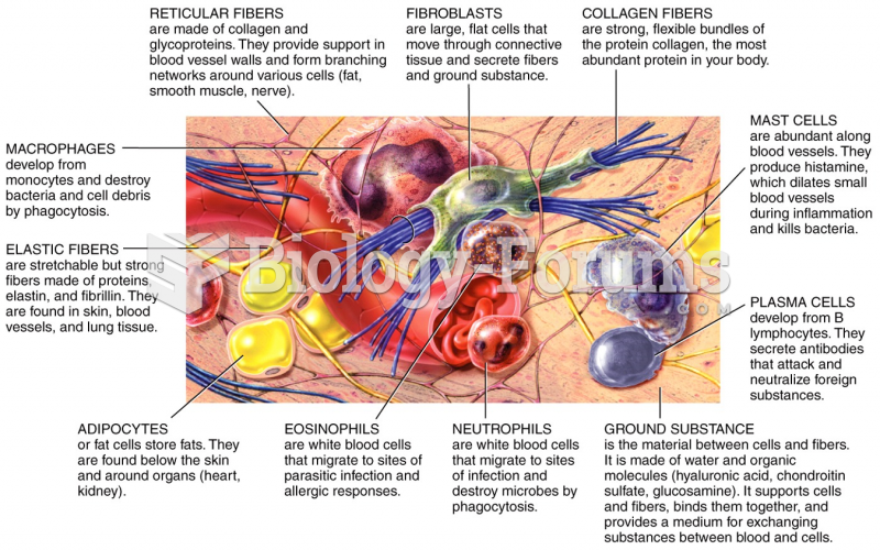 General Features of Connective Tissue