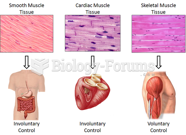 General Characteristics of Muscular Tissue