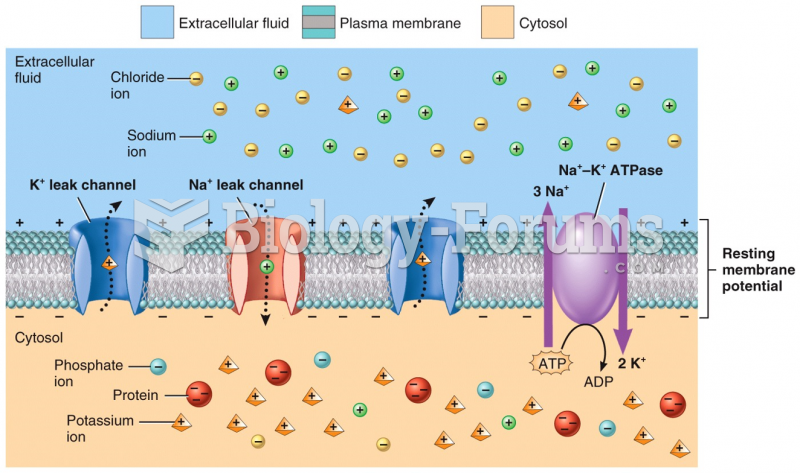 Factors Contributing to Resting Membrane Potential