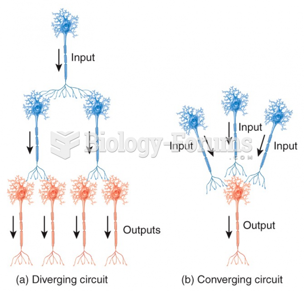 Neural Circuits: Diverging & Converging