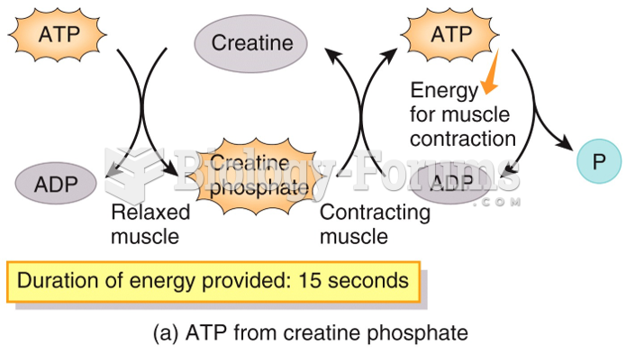 Production of ATP in Skeletal Muscle