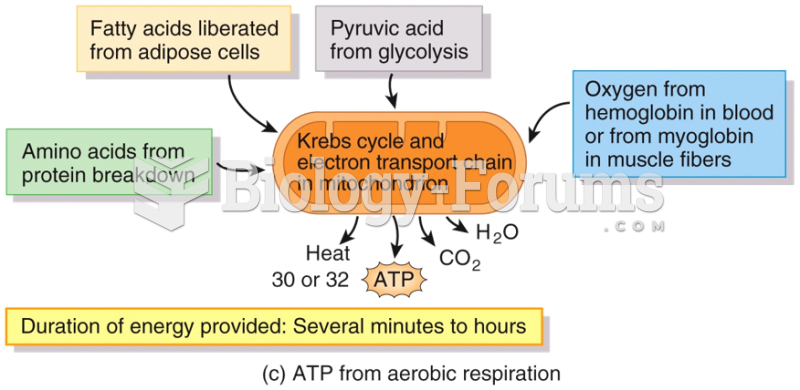 Production of ATP in Skeletal Muscle