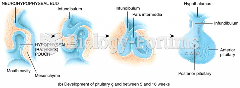 Development of the Endocrine System