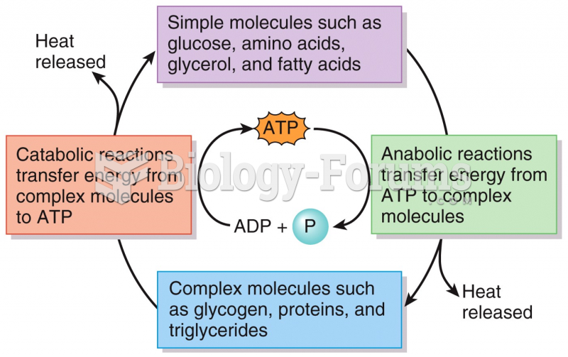 Metabolic Reactions