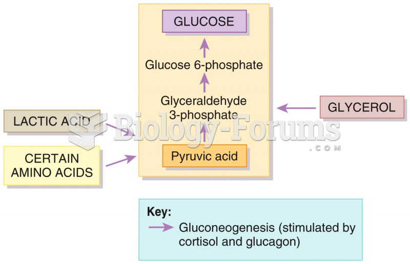 Carbohydrate Metabolism