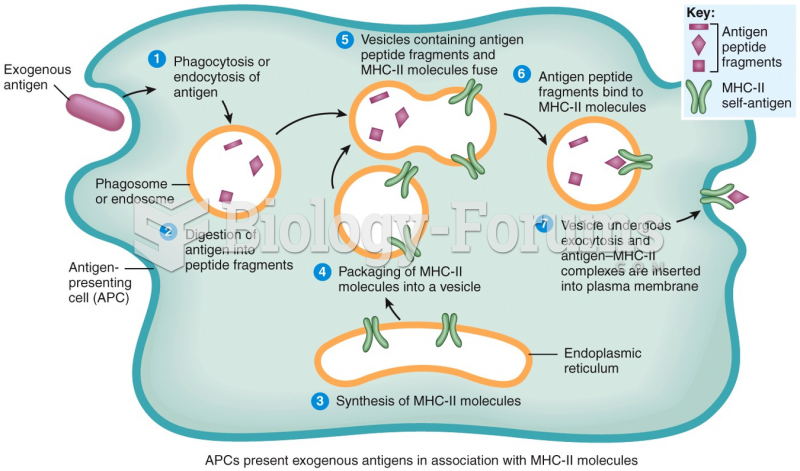 Exogenous Antigen Processing