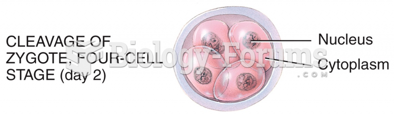 Embryonic Period - By the second day after fertilization