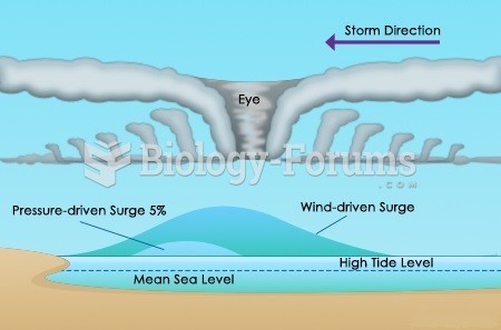 Storm Surge Formation Process