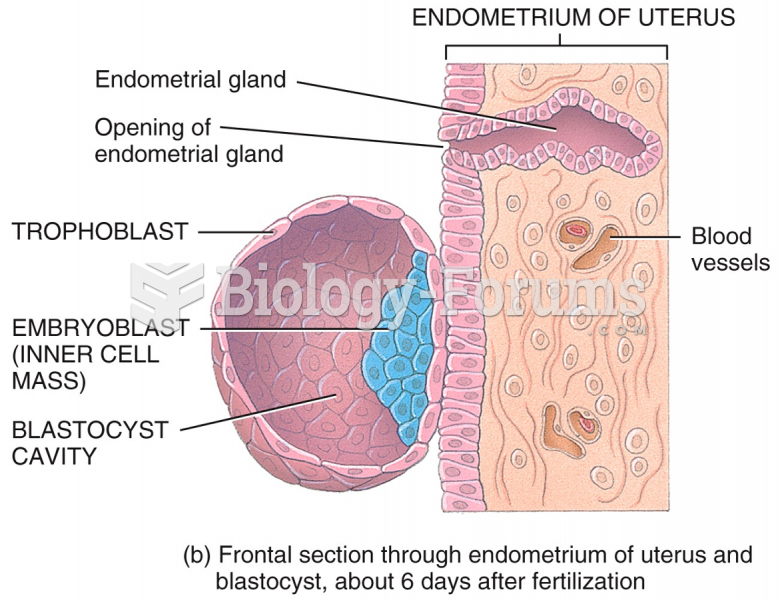 Embryonic Period