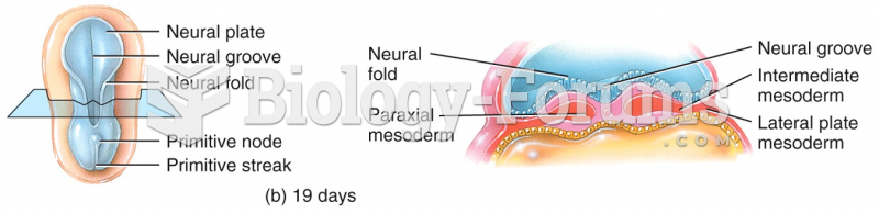 Embryonic Period