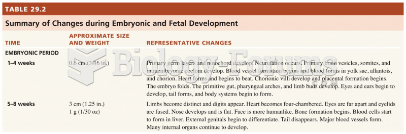 Fetal Period