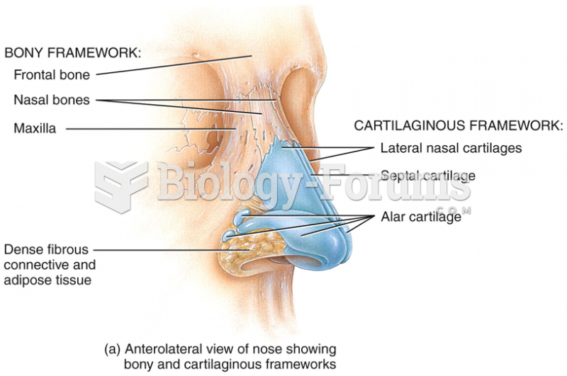 Cartilaginous Framework of the Nose