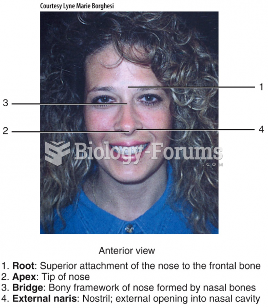 Surface Anatomy of the Nose