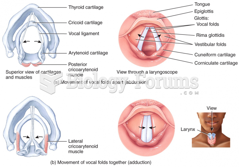 Structures of Voice Production