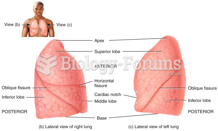 Lobes and Fissures of the Lungs