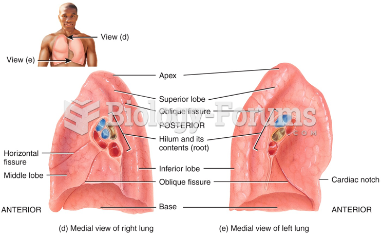 Lobes and Fissures of the Lungs