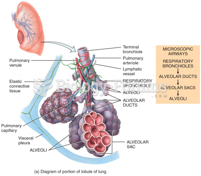Alveoli in a Lobule of a Lung