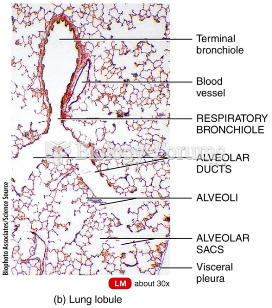 Alveoli in a Lobule of a Lung