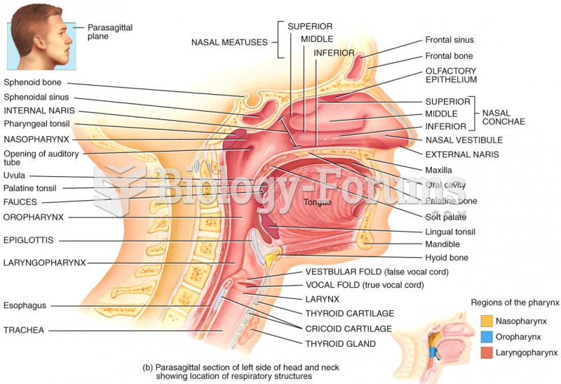 Overview: Nose, Pharynx, Larynx, and Trachea