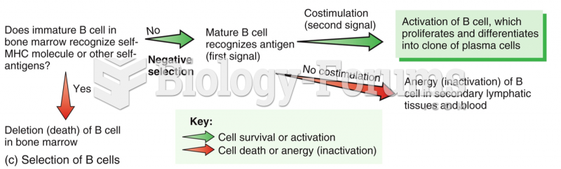 B Cells: Development of Self-Recognition and Self-Tolerance