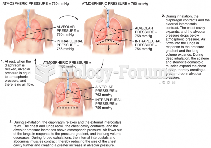 Pressure Changes in Pulmonary Ventilation