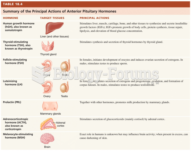 Hypothalamus and Pituitary Gland