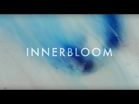 RÜFÜS DU SOL  Innerbloom (Official Video)