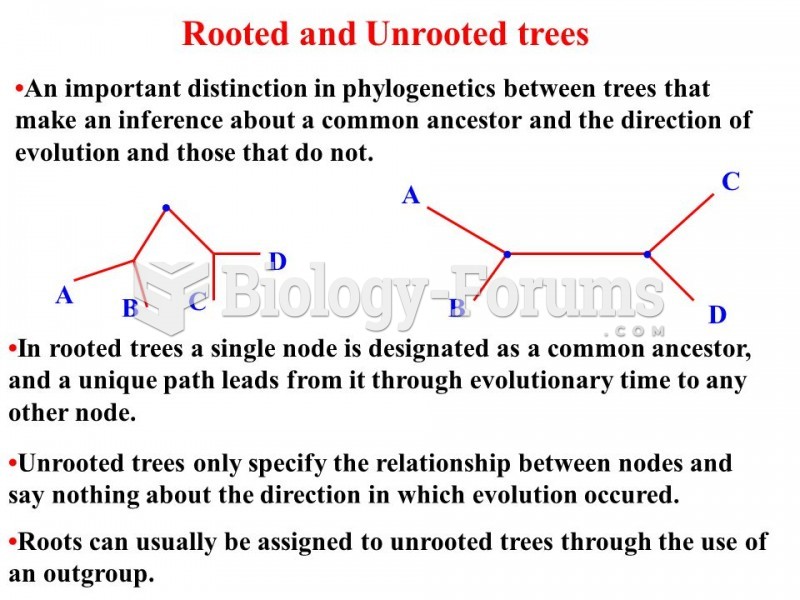 Rooted tree versus unrooted tree