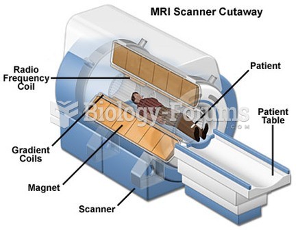 Components of MRI