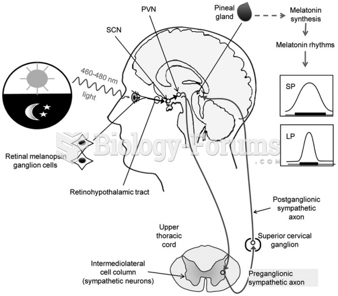 Retina, Melotonin, Pineal Gland