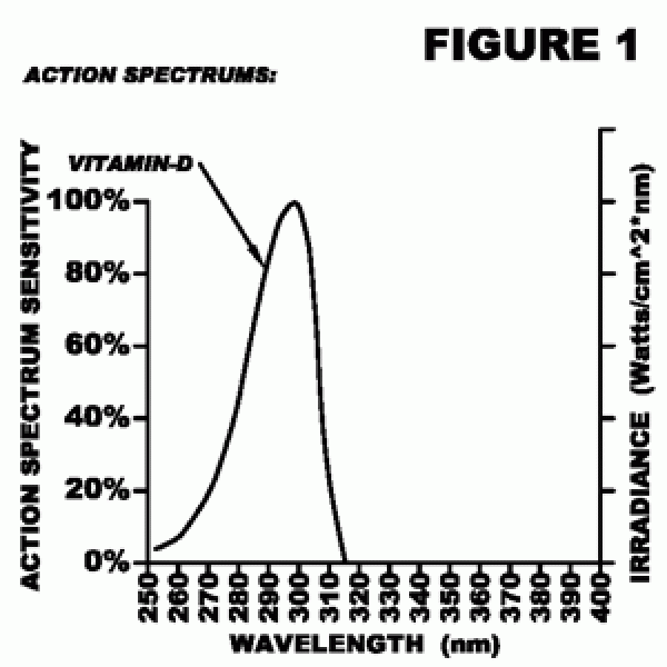 UV-Range That Optimizes Vitamin D3 Biosynthesis