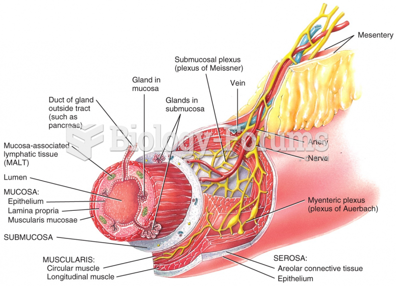 Layers of the GI Tract