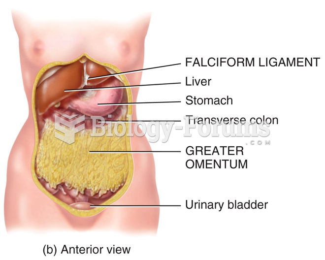 Peritoneum " الحوض"