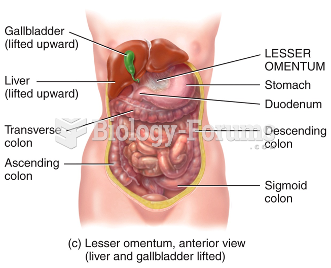 Peritoneum " الحوض" b