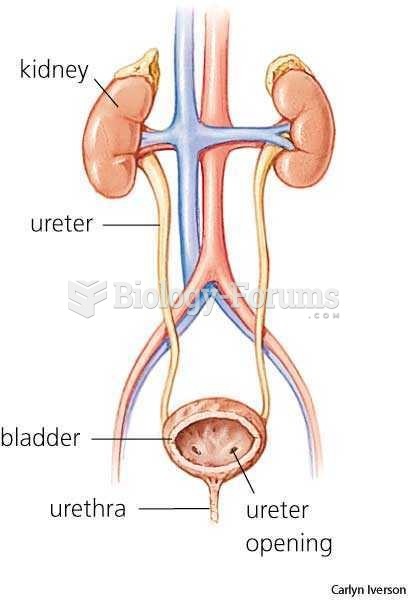 Urinary System: Facts, Functions & Diseases