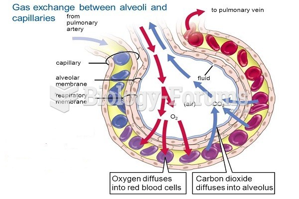 Mechanism of Respiration in Human