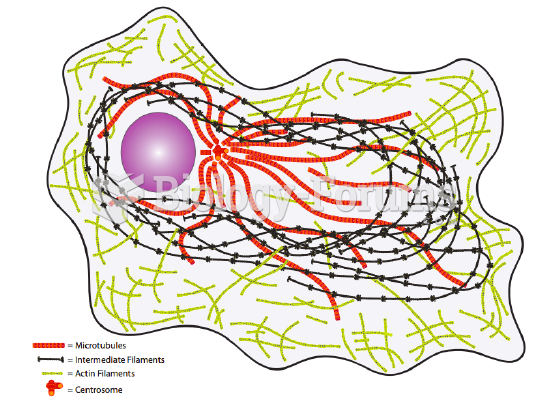 Animal cell cytoskeleton