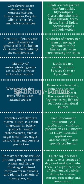 Difference-Between-Carbohydrates-and-Lipids-infographic