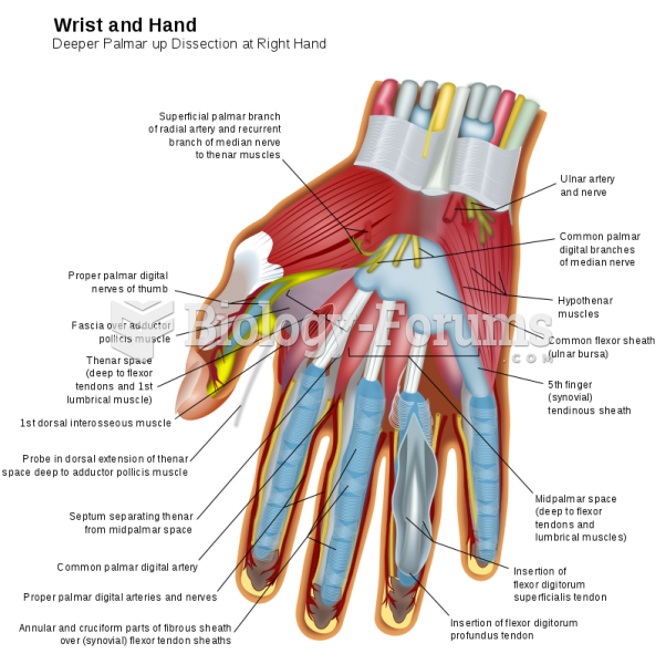 muscles of the hand
