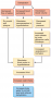 Fluid Compartments and Fluid Homeostasis