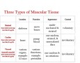 Three Types of Muscular Tissue
