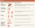 Hypothalamus and Pituitary Gland