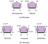 Monosaccharides