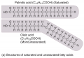 Fatty Acids