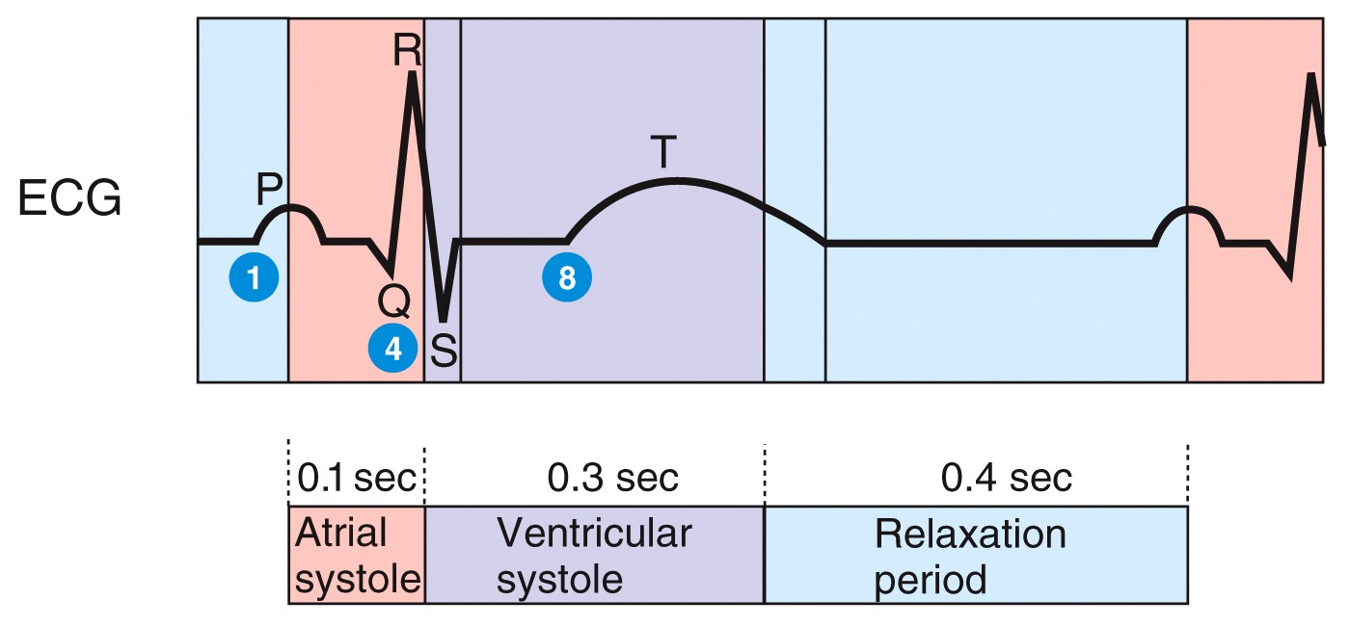 Electrical Events