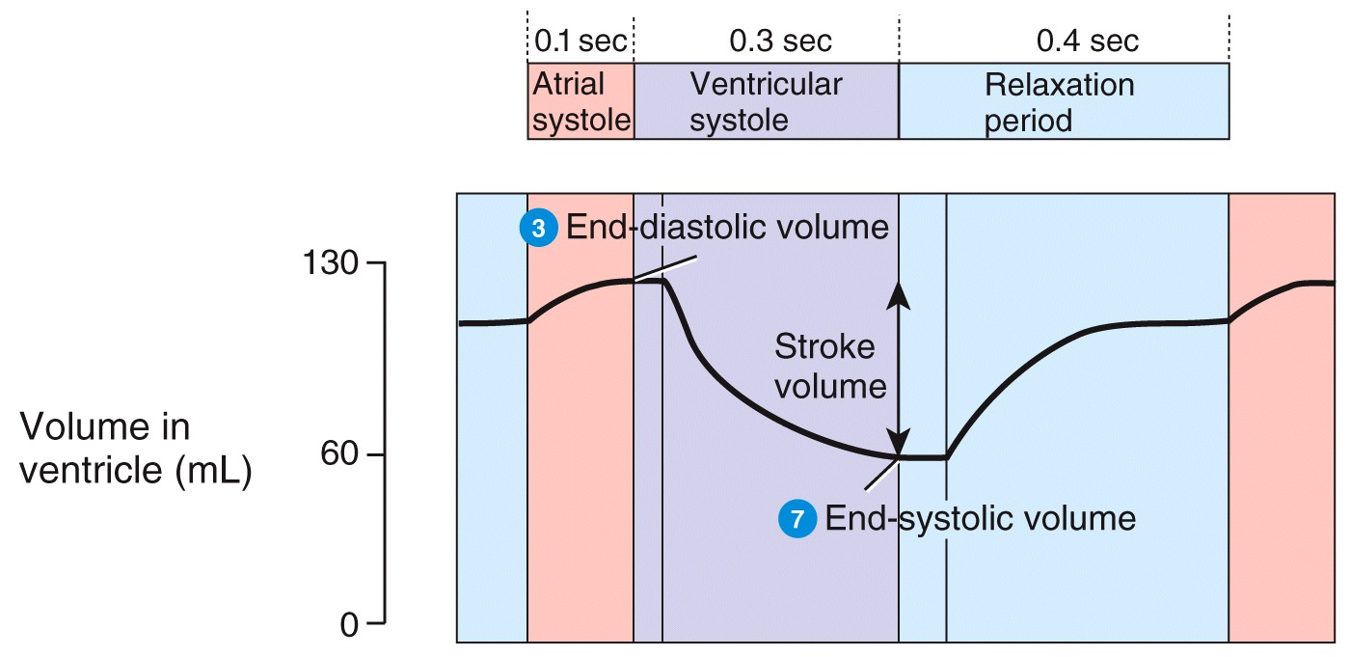 Volume Changes