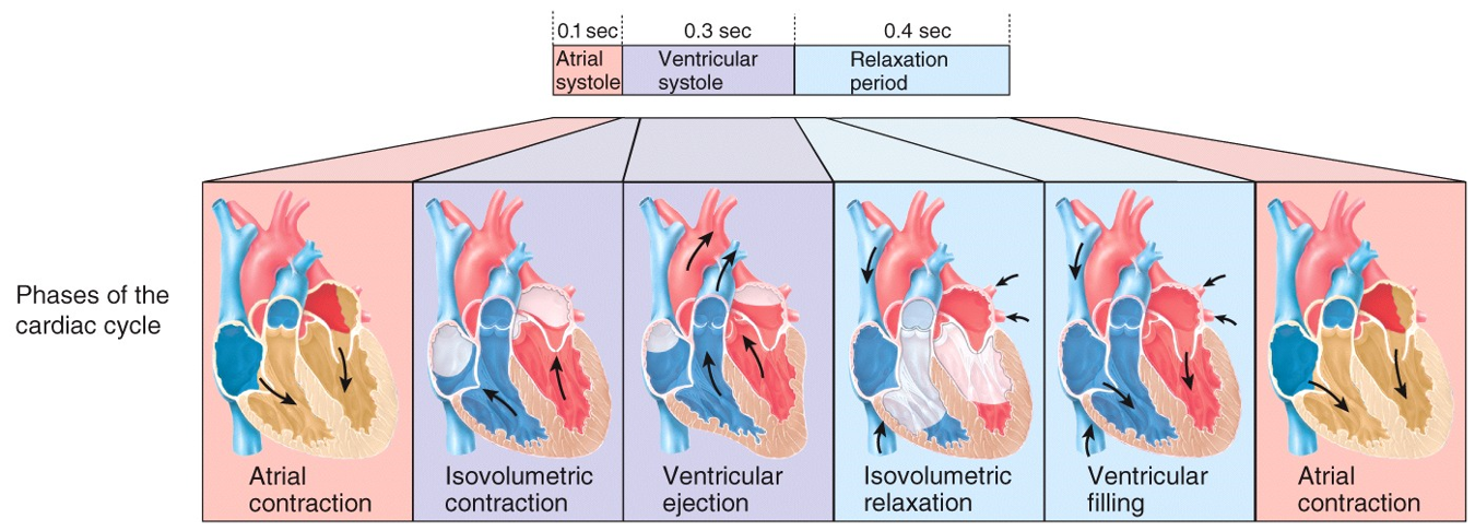 Mechanical Events